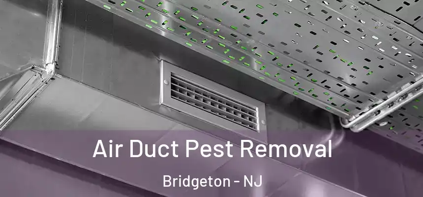  Air Duct Pest Removal Bridgeton - NJ