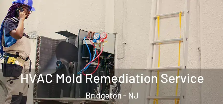  HVAC Mold Remediation Service Bridgeton - NJ