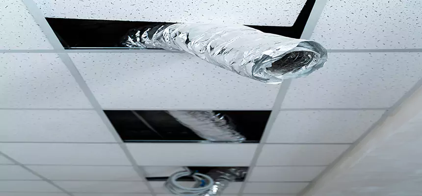 Our Air Duct Pet Hair Removal Services in Bridgeton, NJ