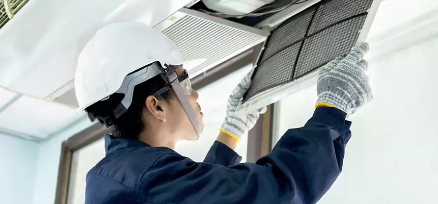 Our Mold & Mildew Removal from Air Ducts Services in Bridgeton, NJ