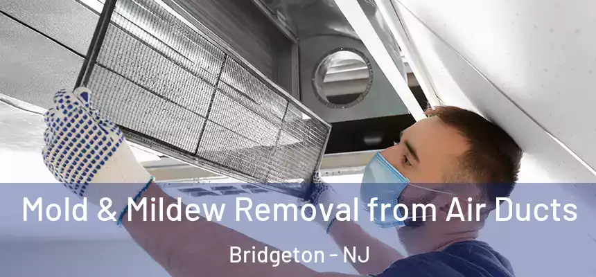  Mold & Mildew Removal from Air Ducts Bridgeton - NJ