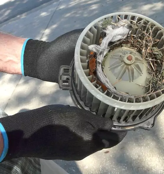 About Air Duct Rat Removal in Bridgeton, NJ