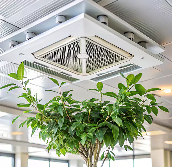 Why Homeowners & Businesses Trust Us in Bridgeton, NJ?